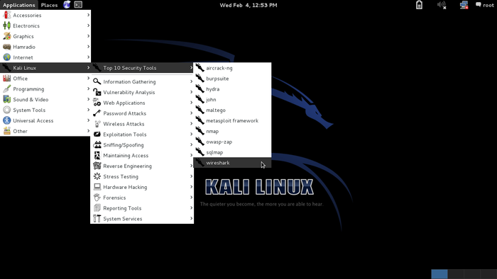 Kali Linux, pentesting
